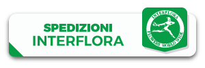 Verkauf und Pflege von Bonsai und Pflanzen - LineaVerde Genova