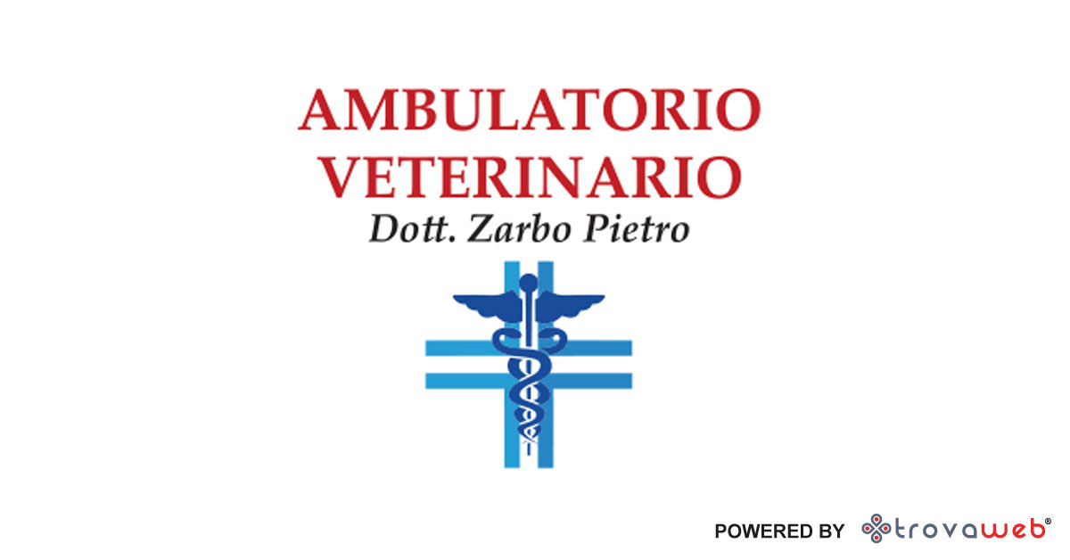 Veterinary clinic Zarbo - Messina
