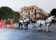 carriages vintage-wedding-molonia-Messina-01.JPG