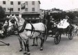 Chariots vintage mariage molonia-Messine-02.jpg