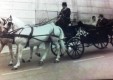 carriages vintage-wedding-molonia-Messina-03.jpg