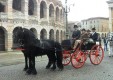 carriages vintage-wedding-molonia-Messina-04.jpg