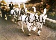 carriages vintage-wedding-molonia-Messina-08.JPG