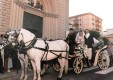 voitures vintage mariage molonia-Messine-10.JPG
