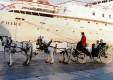 carriages vintage-wedding-molonia-Messina-12.JPG