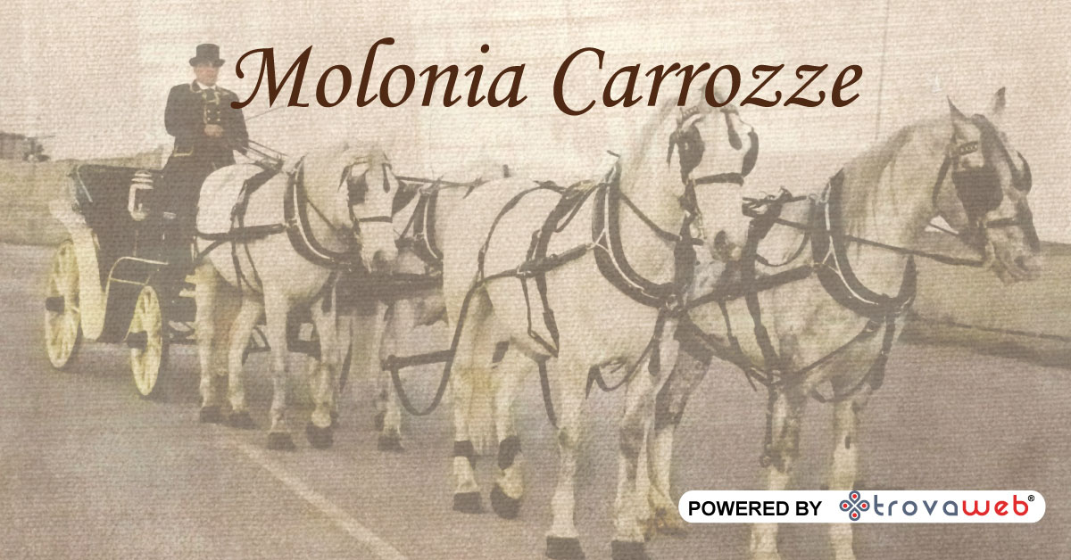 Vintage Carriage for Wedding Molonia - Messina
