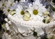 D-Mantineo  - 花 - 植物 - 婚礼，messina.jpg