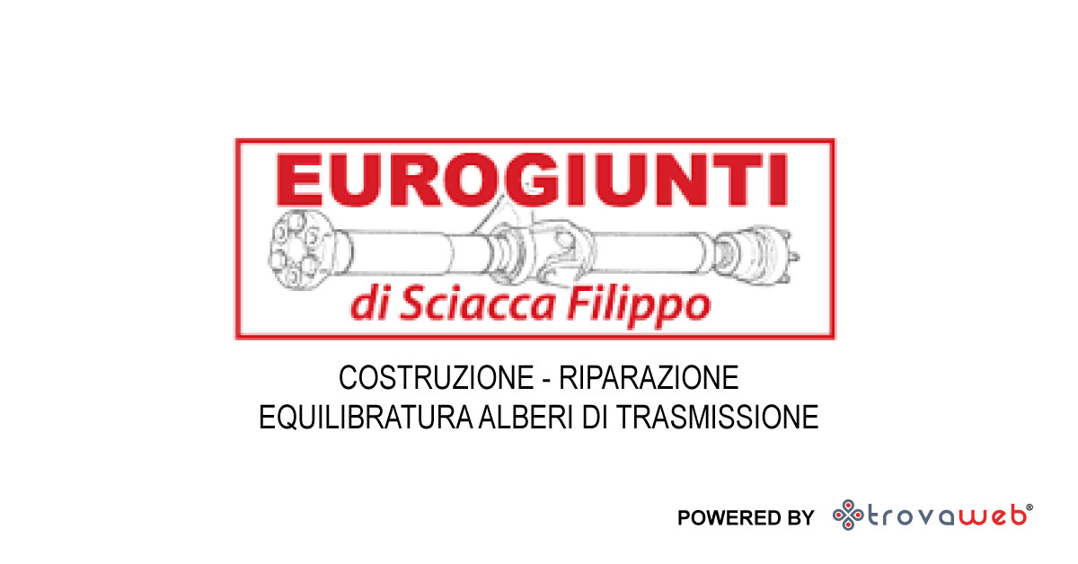 Eurogiunti Alberi di Trasmissione e Giunti - Italia