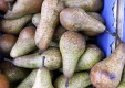 -abastecimiento frutas-y-verduras-u-scuzzulatu-terrasini-Palermo-03.JPG