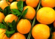-abastecimiento frutas-y-verduras-u-scuzzulatu-terrasini-Palermo-09.JPG