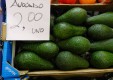 -abastecimiento frutas-y-verduras-u-scuzzulatu-terrasini-Palermo-11.JPG