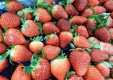 -abastecimiento frutas-y-verduras-u-scuzzulatu-terrasini-Palermo-12.JPG