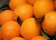 фрукты-салями-док-органические продукты-я-monrealesi-Палермо (1) .jpg