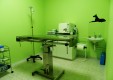 g-zampiland-Klinik-Veterinär-Villafranca-messina.JPG