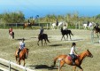 la-pinewood-club-horse-villafranca-tirrena- (12) .JPG