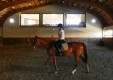the-pinewood-horse-club-villafranca-tirrena-(7).JPG