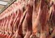 carnicero de procesamiento de carne de salchicha-DALF-Genova (3) .jpg