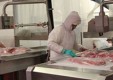carnicero de procesamiento de carne de salchicha-DALF-Genova (5) .jpg