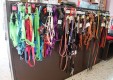 shop-pet-gring-the-madness-of-Mon-Catania-08.JPG