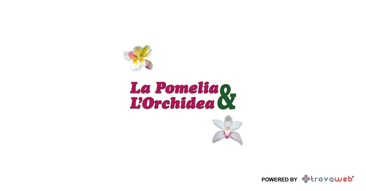 Pomelia e Orchidea Giardinaggio a Messina