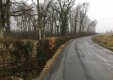 pagsasakatuparan-asphalt-bio-by-giardini-del-monferrato (6) .jpg