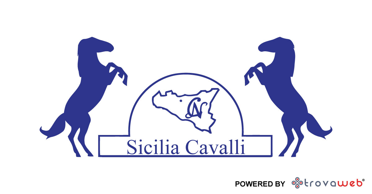 Vendita e Addestramento Cavalli Sicilia - Italia