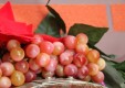 вино-масса-ароматы-урожая-messina (12) .jpg